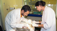 Central Animal Facility
