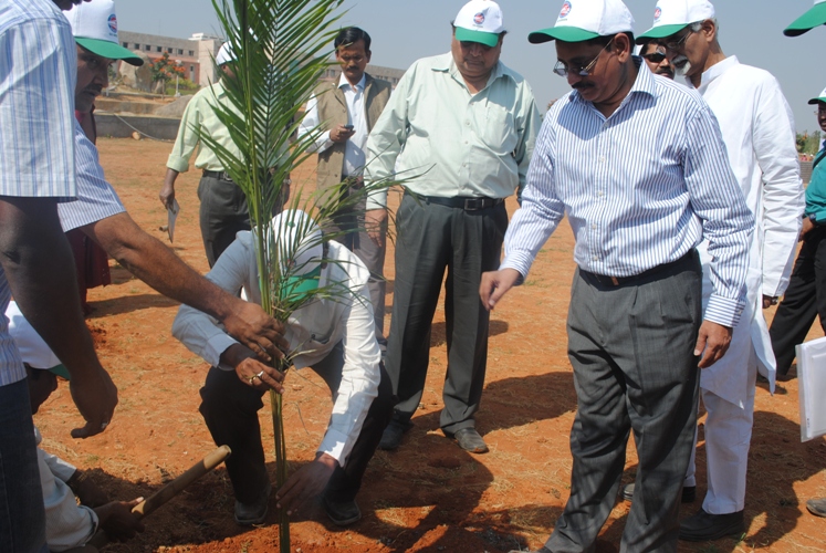 HMR Mass tree Plantation Programme